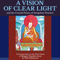A Vision of Clear Light and the Crucial Points of Dzogchen Practice