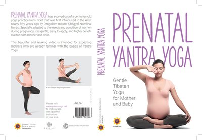 product product_images/PRENATAL_YY_dvd_cover_E38AO1n.jpg