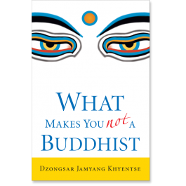 product product_images/What_Makes_You_Not_a_Buddhist.png